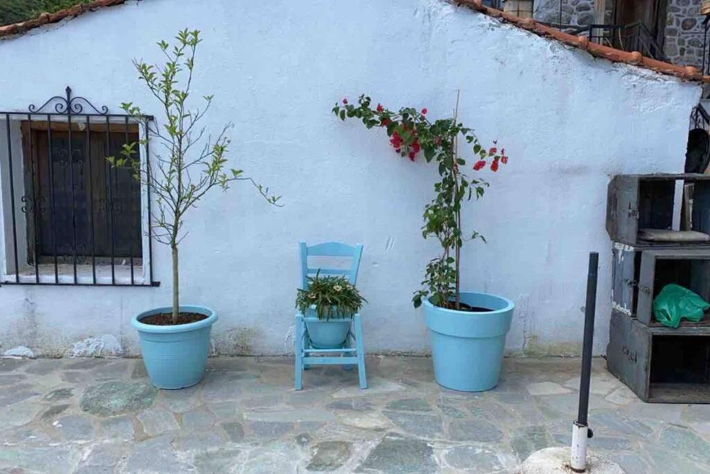 House Marika - Between Sea & Mountains Sykia Chalkidikis Exterior foto